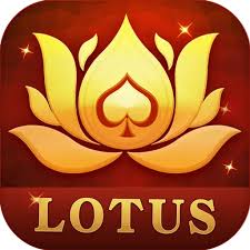 teenpatti vungo greyyyantts limit download